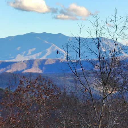 Lazy Bear Cabin Sevierville Exteriör bild