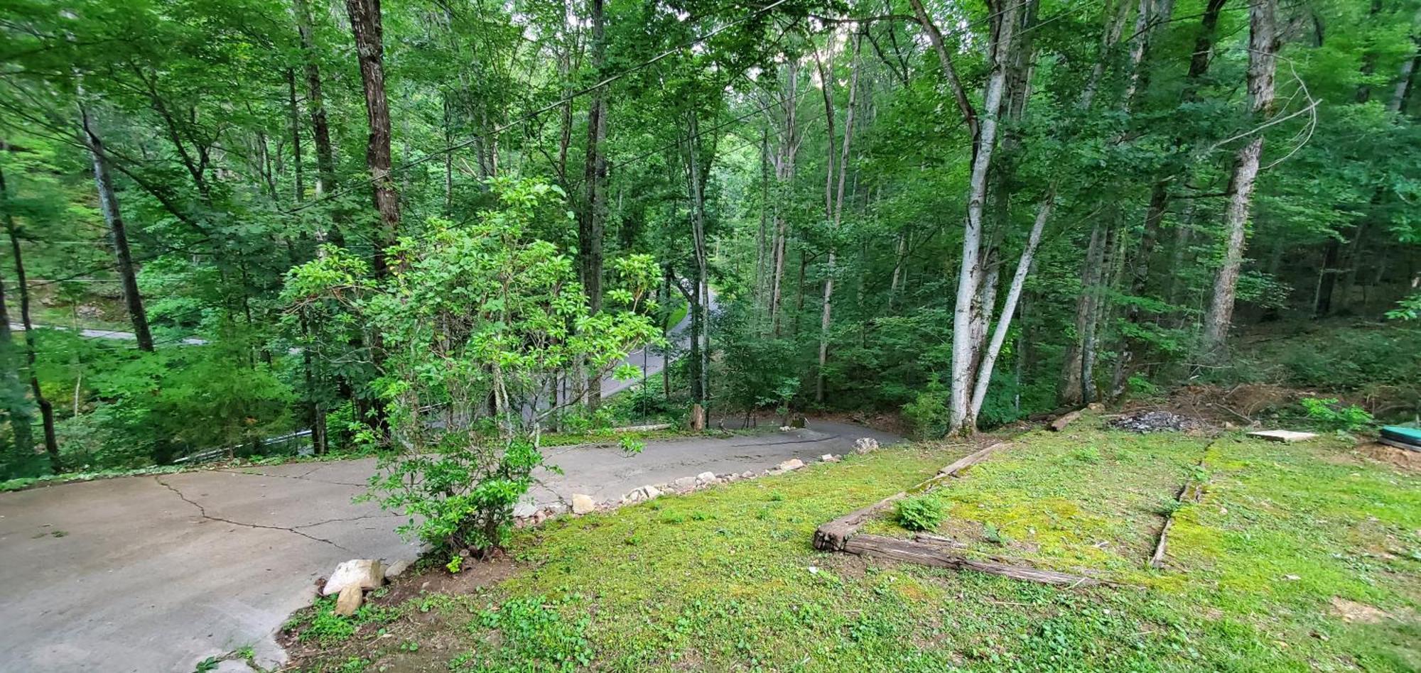 Lazy Bear Cabin Sevierville Exteriör bild